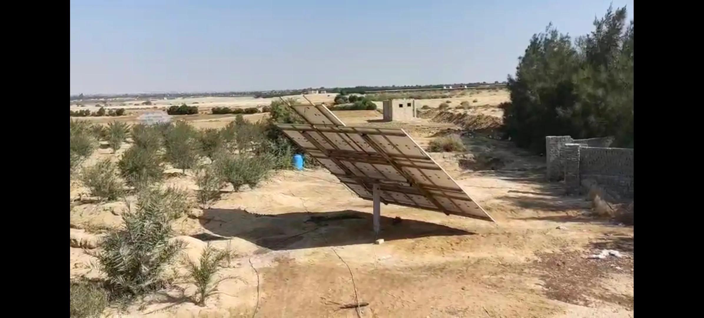 مزرعة زيتون ١٥ فدان للبيع في وادي النطرون عمره ٥ سنوات