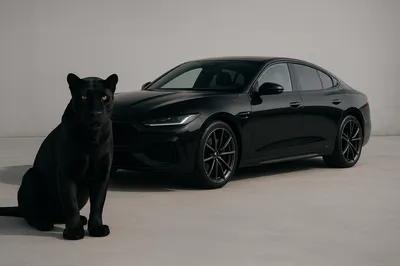 متاح للأيجار الشخصي فقط اسبورتاج ٢٠١٨ بيجو ٥٠٨ اسبورتاج ٢٠٢٢ في مدينتي, القاهرة - 2,500 جنيه