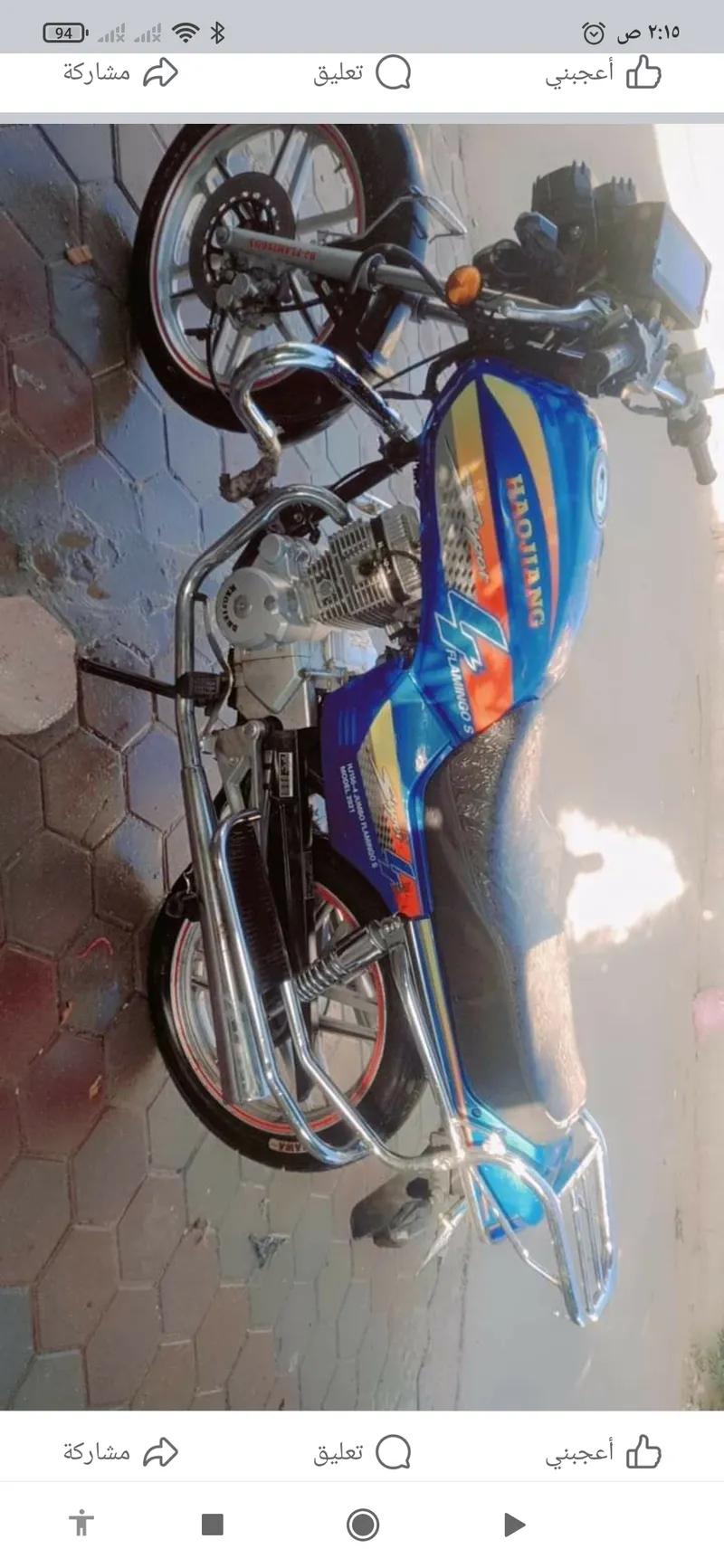 هوجن فلامنجو 2022