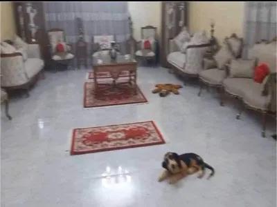 شقة لقطة للبيع مساحة ممتازة مكان متميز فرصة لا تعوض في المهندسين, الجيزة - 6,000,000 جنيه