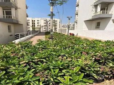 شقة 153 متر 3 غرف + 3 حمام في الرحاب, القاهرة الجديدة, القاهرة - 5,000,000 جنيه