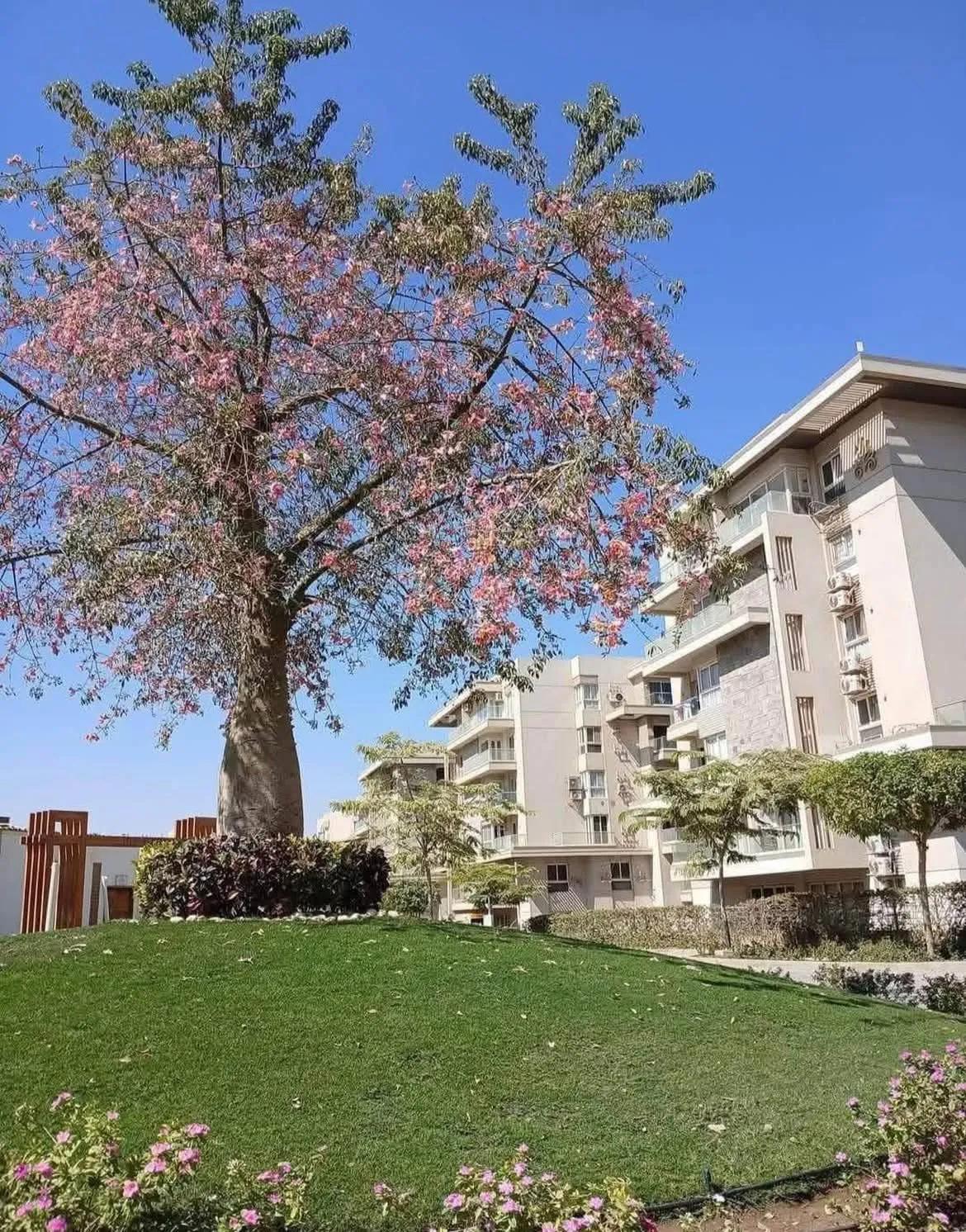 شقة استلام_فوري، للبيع في التجمع_الخامس،🏡📍