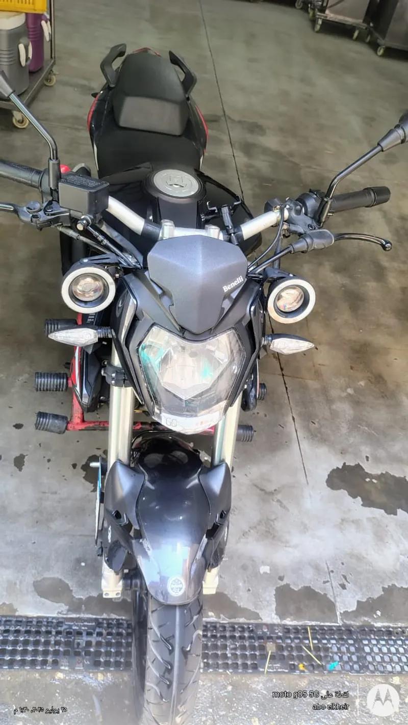 بينيلي تى أن تى 2024