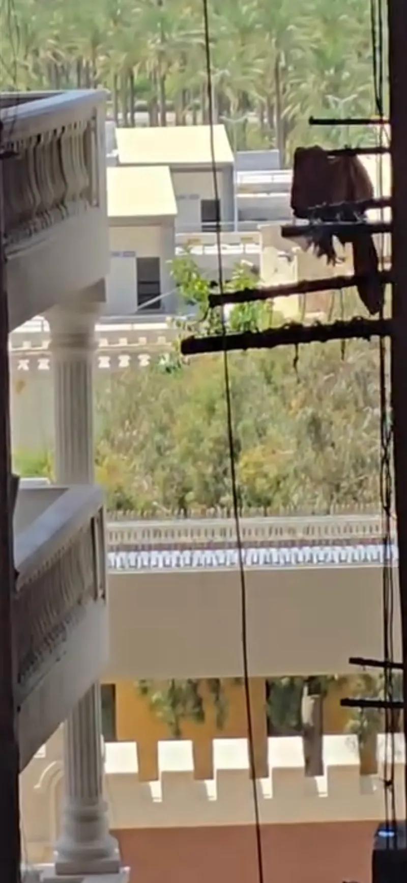 شقة للبيع في المنتزه