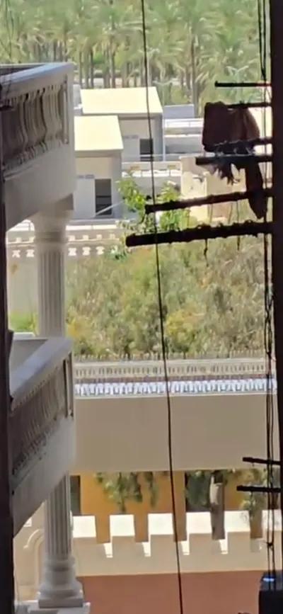 شقة مصيفية وسكني تاني نمرة من ملك حفني وترى المنتزه في المنتزه, الإسكندرية - 1,900,000 جنيه