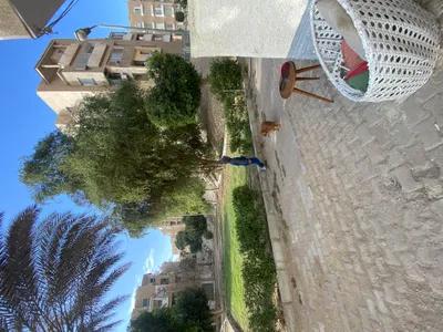 شقه للبيع ٧٠ متر إسكان الشباب التجمع الثالث توضيب عالي جدا في التجمع الثالث, القاهرة الجديدة, القاهرة - 1,800,000 جنيه