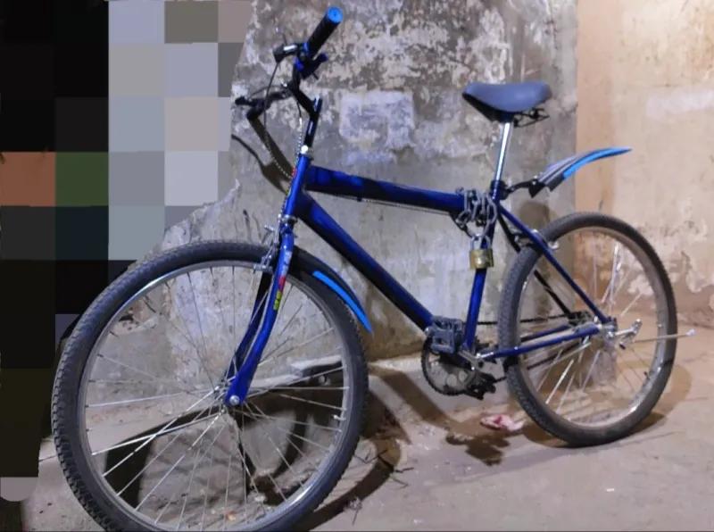 vip bora 2025 استخدام اقل من 5 شهور