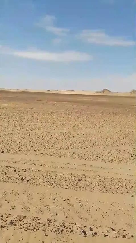 🌾 امتلك 400 فدان في قلب الواحات البحرية – منطقة الحارة