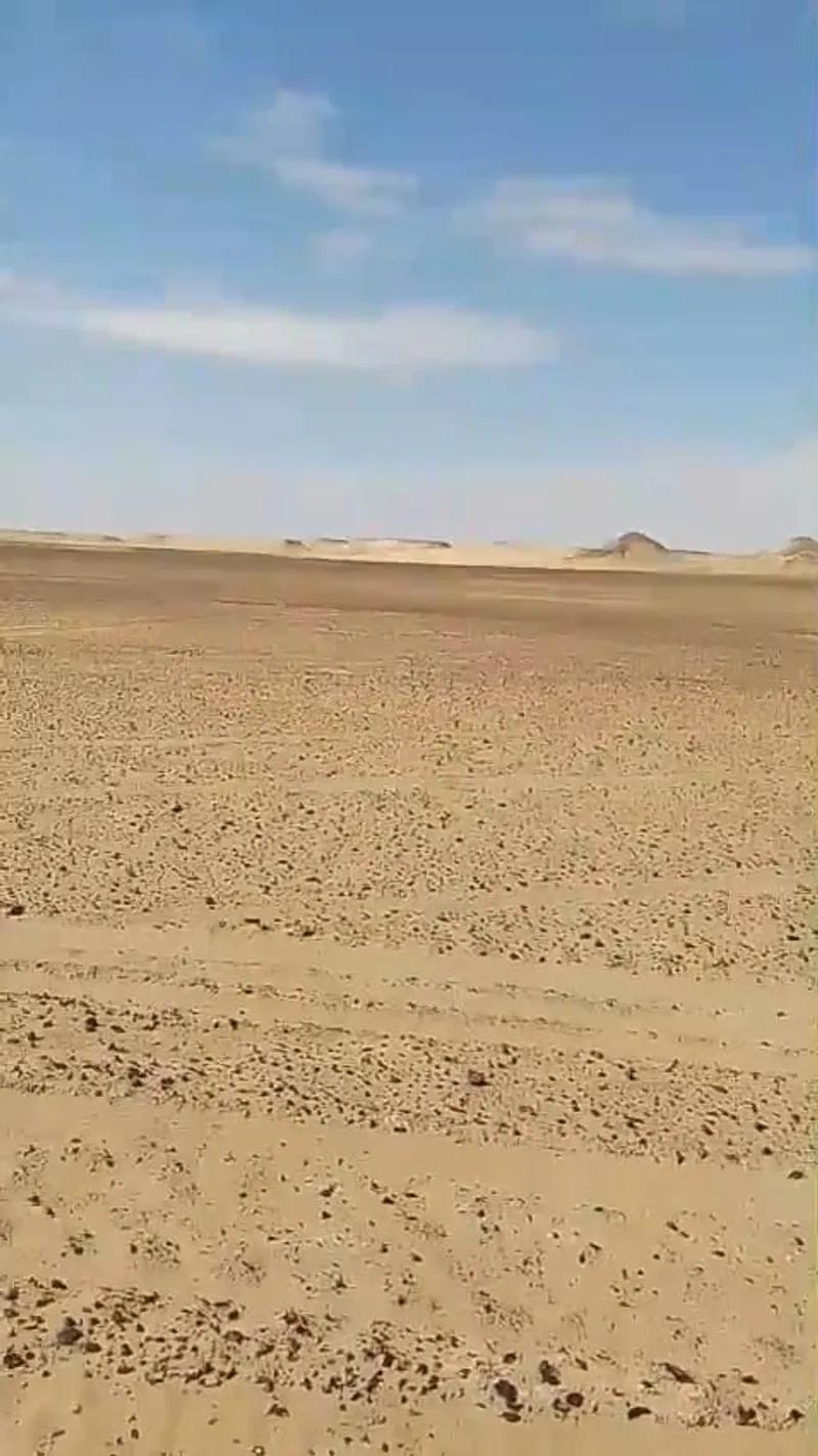 🌾 امتلك 400 فدان في قلب الواحات البحرية – منطقة الحارة