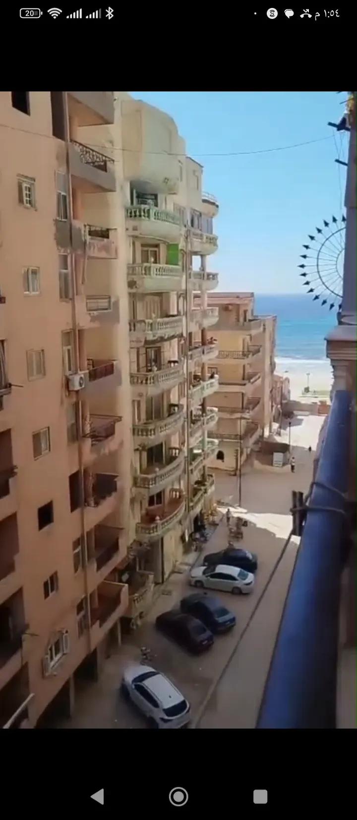 شقه للبيع في الاسكندريه العجمي اكتوبر النخيل