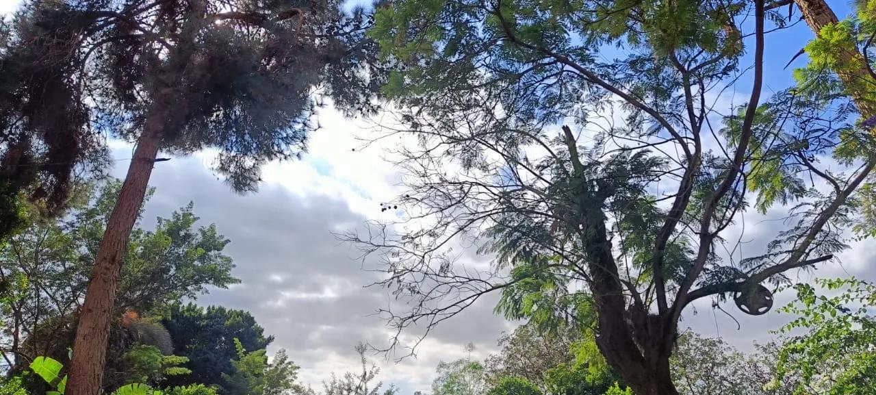 منزل للبيع بشتيل البلد