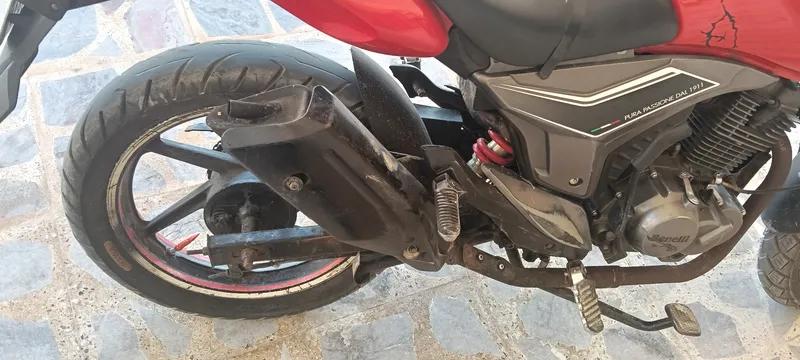 بينيلي فى ال ار 2015