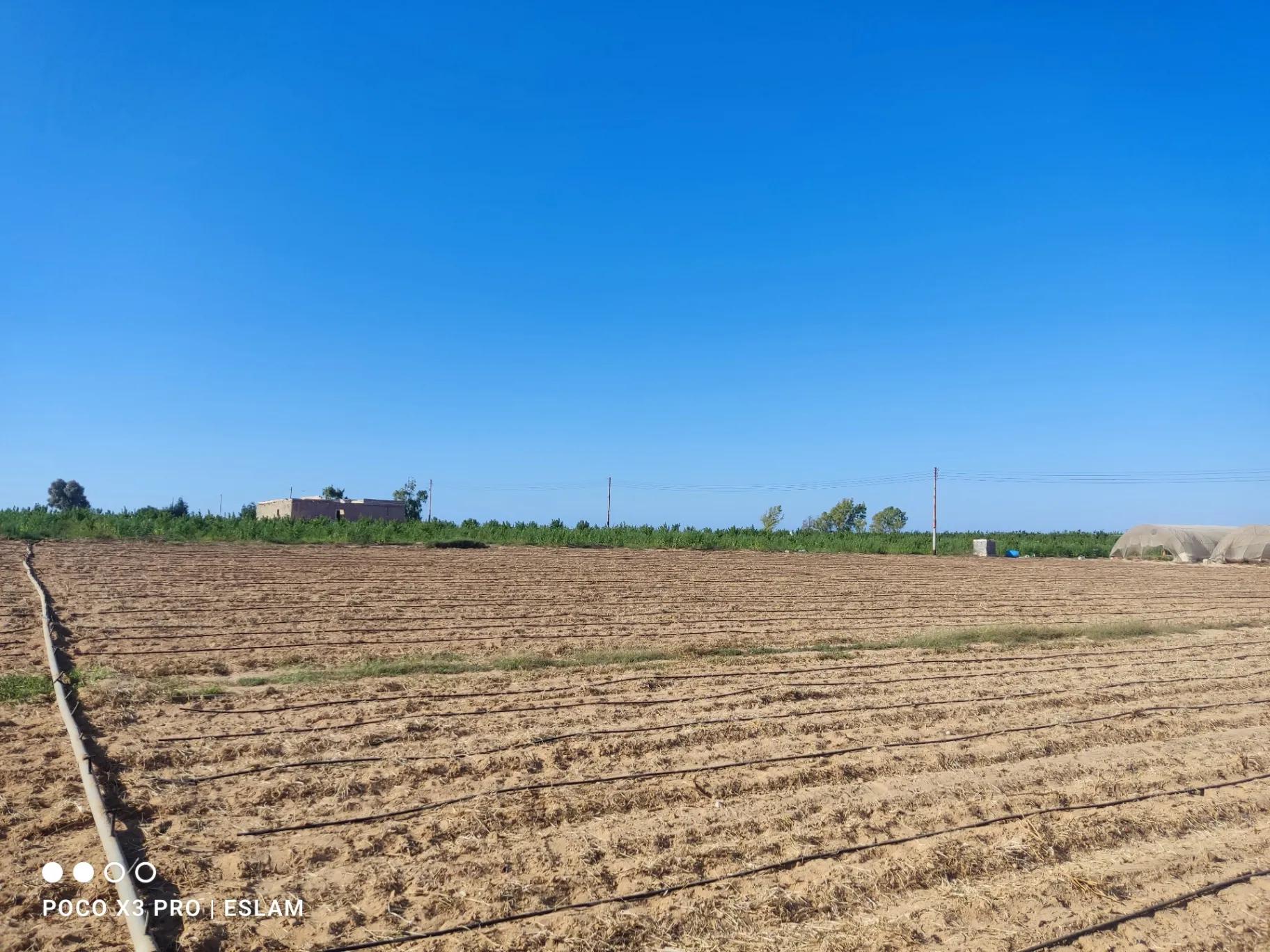 ارض زراعيه في العميد ملك خالص من المحافظه عقد ازرق تصلح لجميع المشاريع