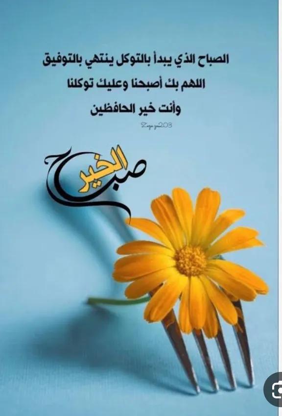 ارض للبيع 540 متر تقسيم النور بالغردقه