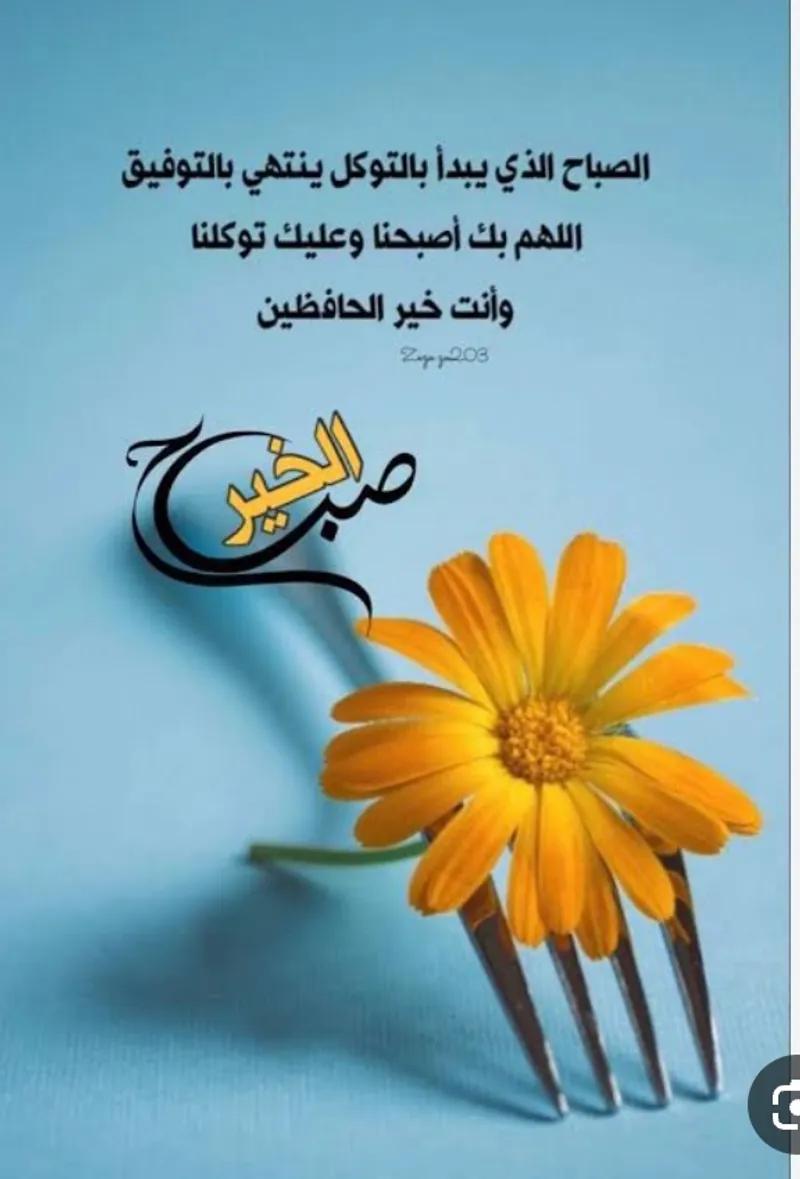 أرض سكنية للبيع في الغردقة