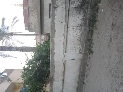 لهواة الفيو والهواء النقي والخضره في مشتول السوق, الشرقية - 4,500,000 جنيه