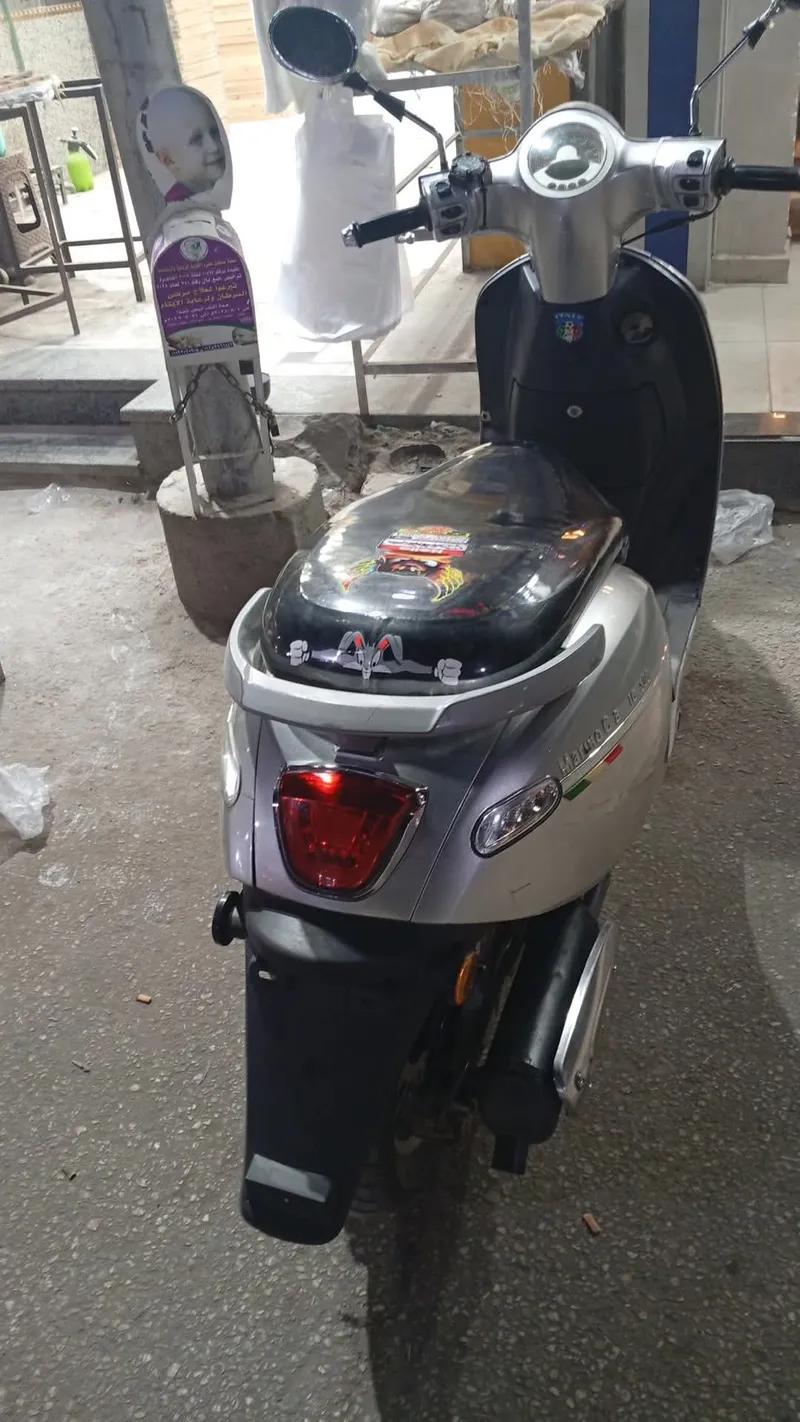 حوا مارينو كلاسي 2020