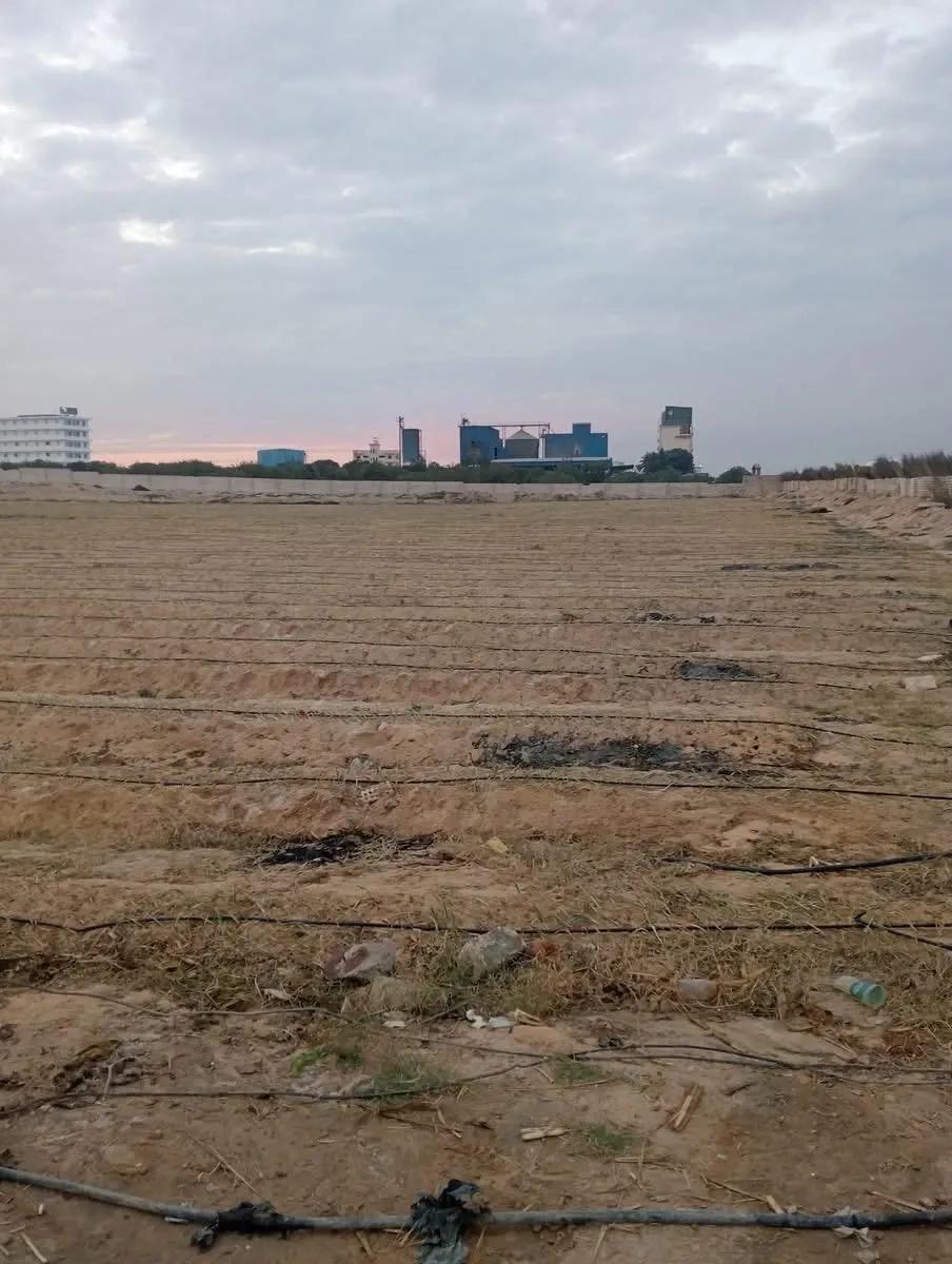 85فدان للبيع