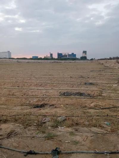 85فدان للبيع في وادي النطرون, البحيرة - 127,500,000 جنيه