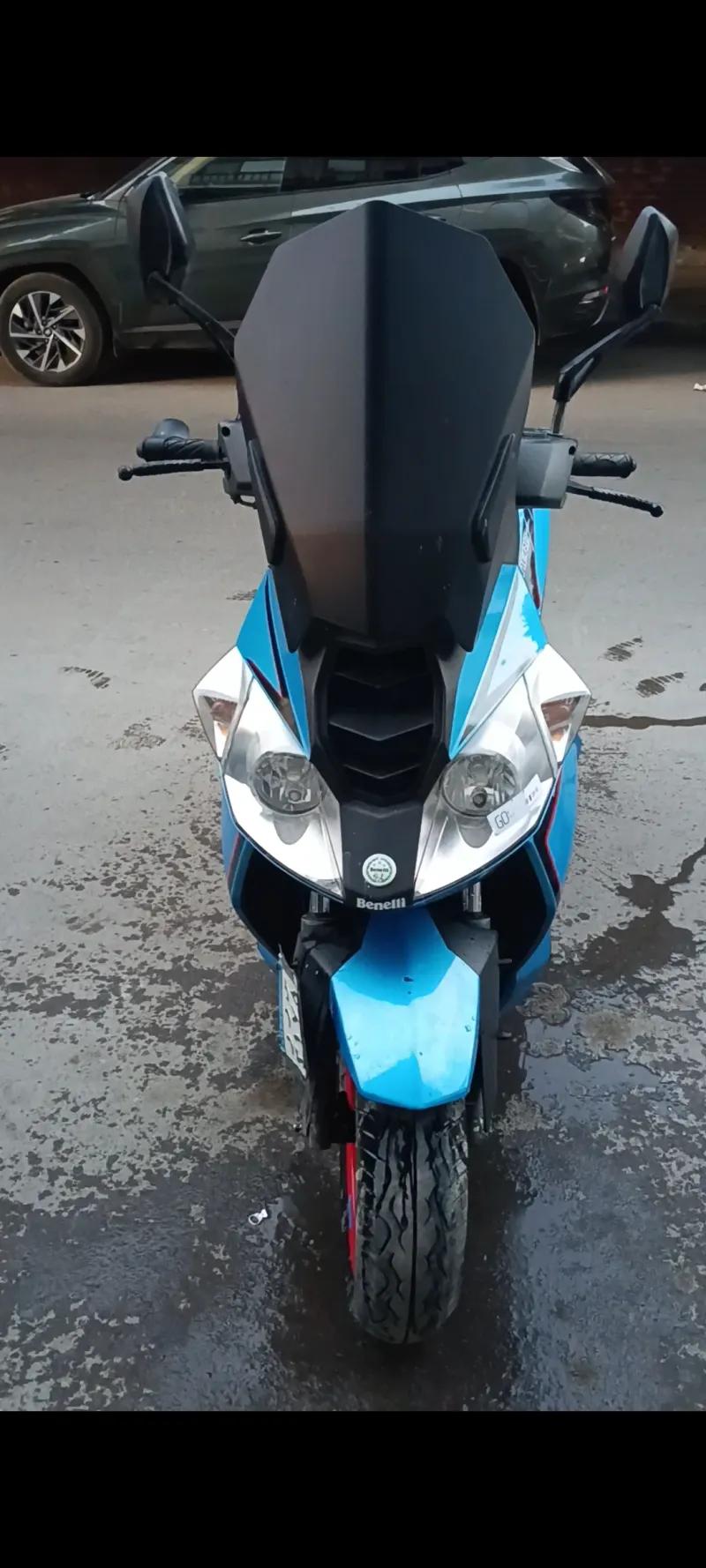 بينيلي كافينيرو 2021