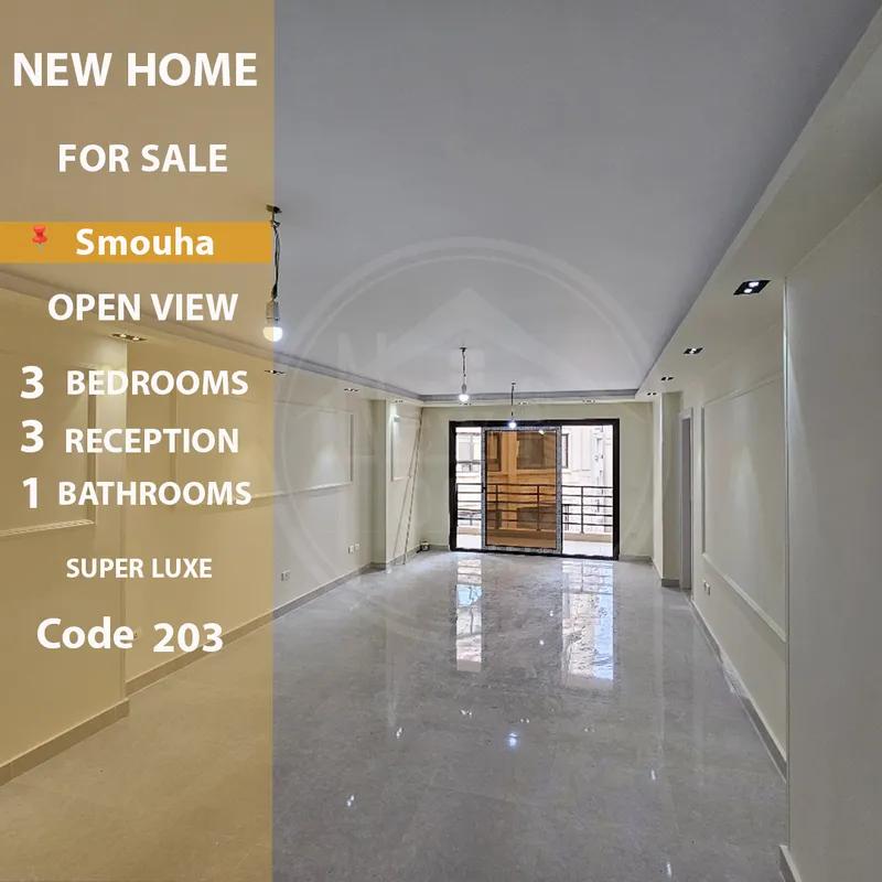 شقة للإيجار الجديد 165 م سموحه ( كمباوند فالوري أنطونيادس )