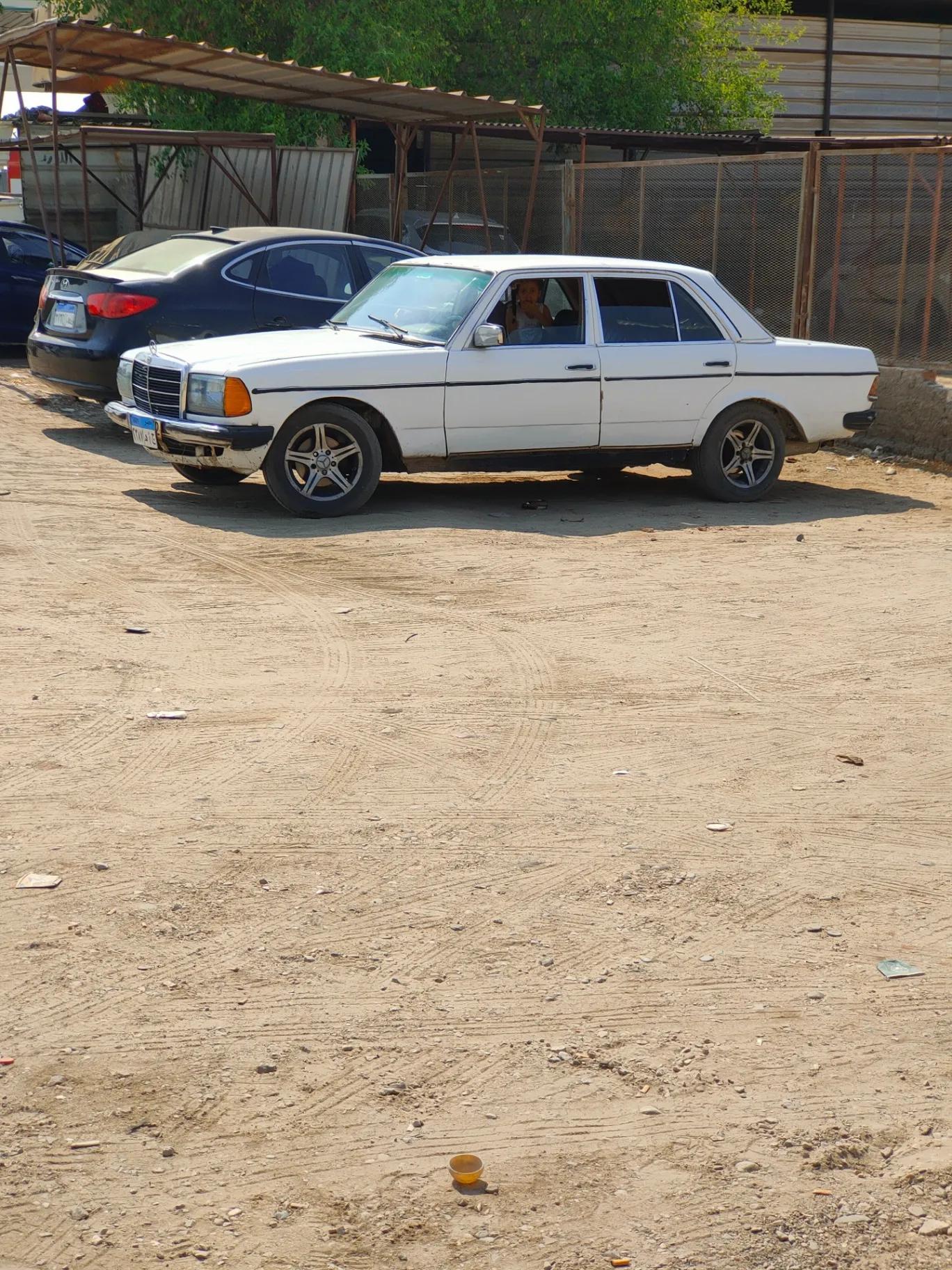 مرسيدس بنز تمساحه 1977