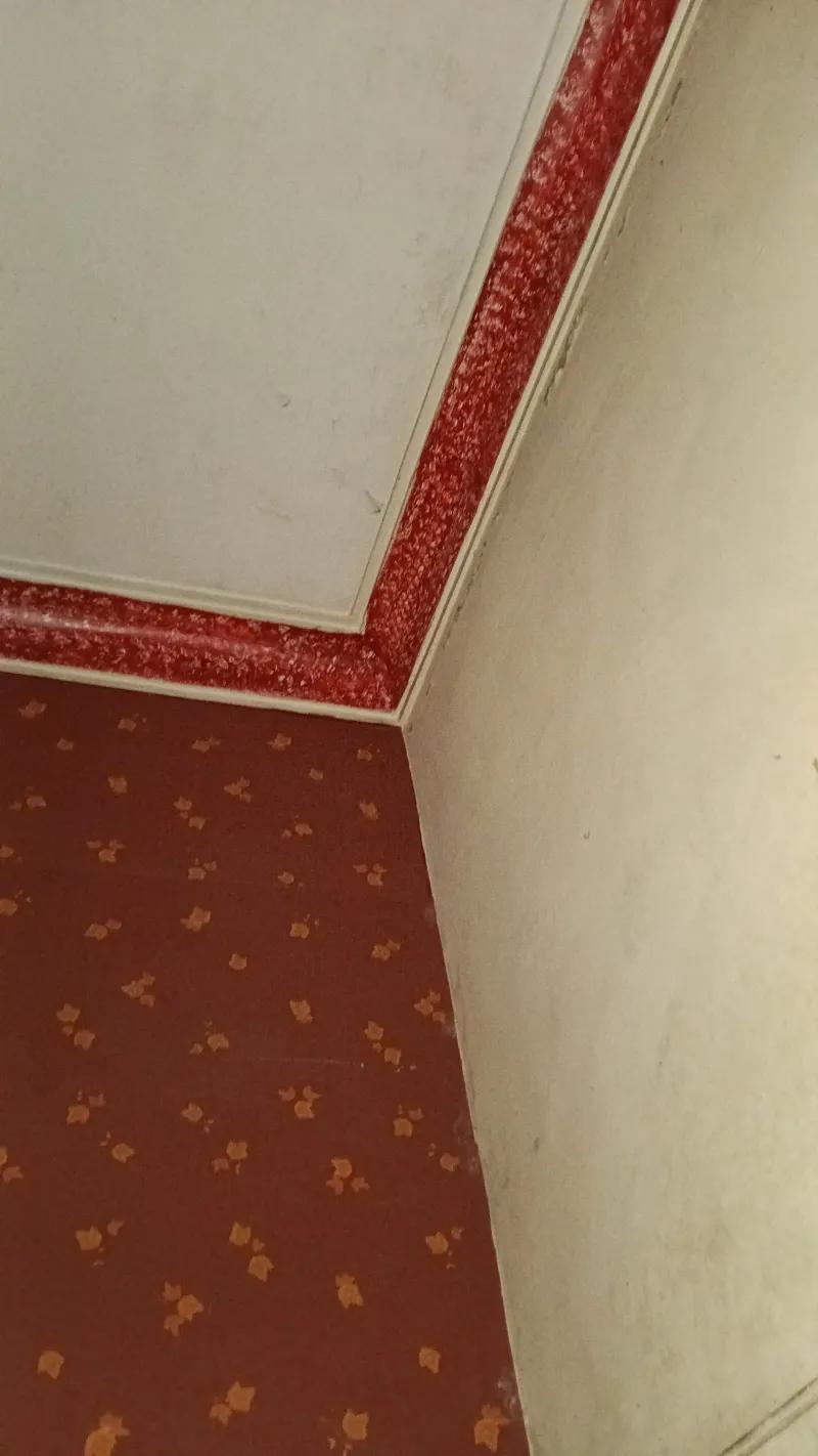 فرصه بالزمالك