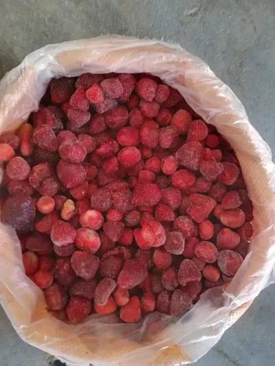 فراوله درجه ثانيه محلل محسن في السادات, المنوفية - 39 EGP