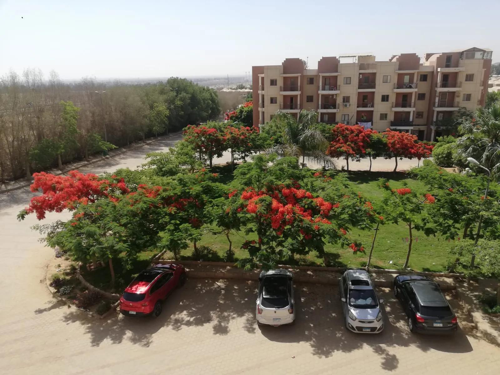 شقه بينتهاوس للبيع