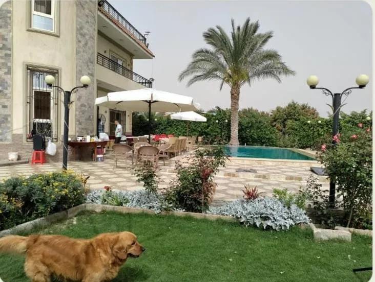 مزرعة فدان بفيلا في الريف الاوروبي منطقه بافاريا