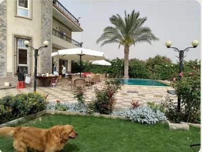 مزرعة فدان بفيلا في الريف الاوروبي منطقه بافاريا في طريق مصر اسكندرية الصحراوي, 6 أكتوبر, الجيزة - 20,000,000 جنيه