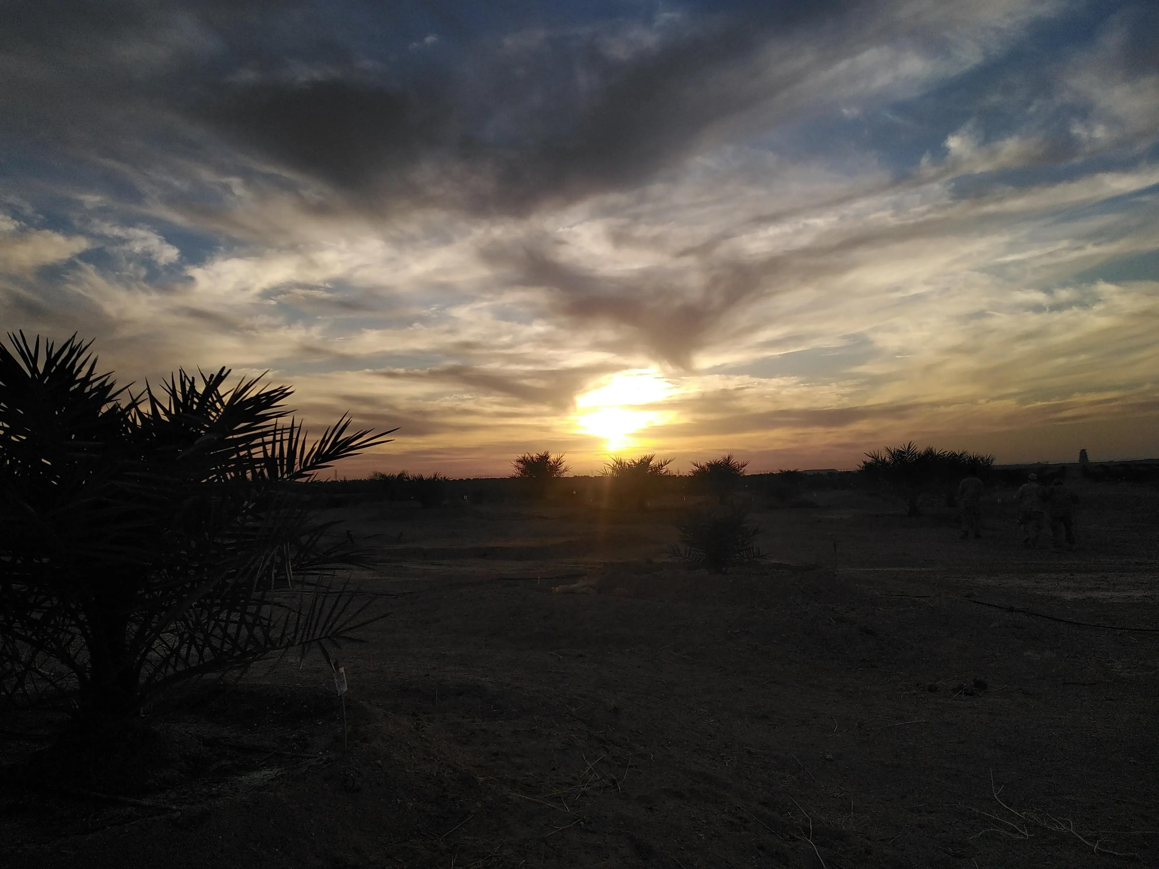 ارض استصلاح زراعي بها بير خاص وطاقه خاصه مزروعه تين وزيتون