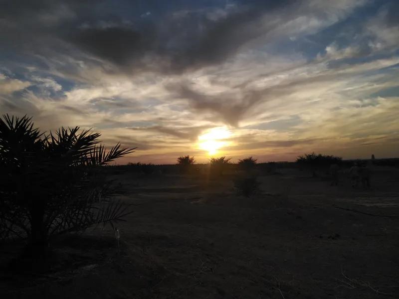 ارض استصلاح زراعي بها بير خاص وطاقه خاصه مزروعه تين وزيتون