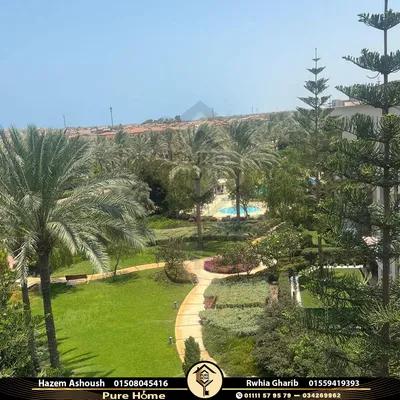 شاليه للبيع 86 م قرية مراسي بالساحل الشمالي - الكيلو 126 في سيدى عبد الرحمن, الساحل الشمالي, مطروح - 13,000,000 جنيه