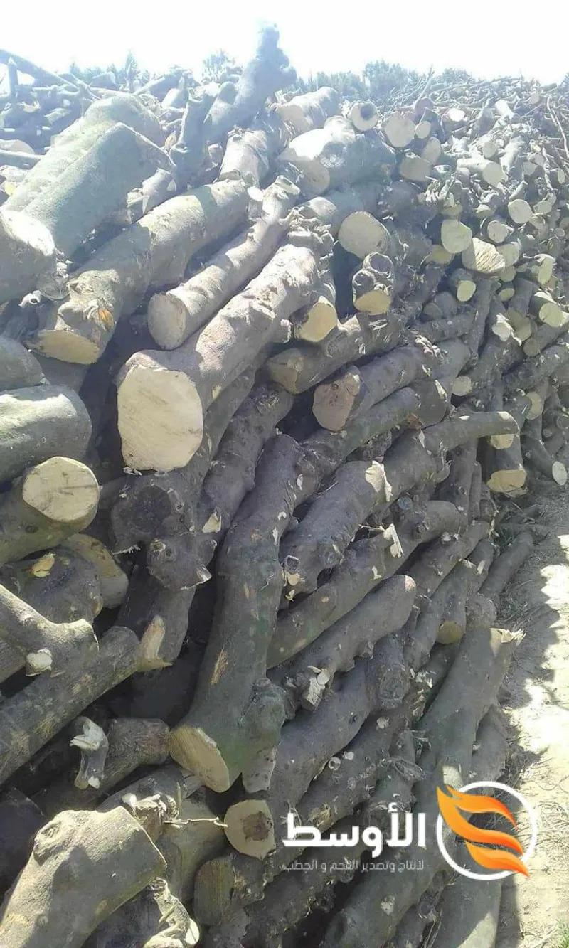 حطب البرتقال للتصدير , حطب شواء في مدينة الإسماعيلية, الإسماعيلية - 10,000 EGP