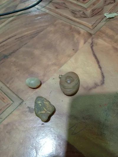 احجار كريمة في ديرب نجم, الشرقية - 50 EGP