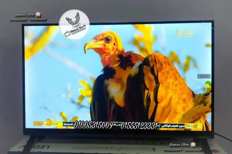 شاشة تلفزيون 32 بوصة رسيفر داخلي فريمليس أي كاست جديدة SyinixE324M في جاردن سيتي, القاهرة - 4,700 EGP