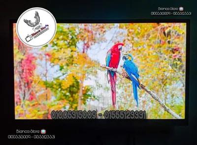 شاشة للبيع 24 بوصة LED FHD IPS سماعات داخلية بالكرتونة و الضمان في المقطم, القاهرة - 1,950 EGP