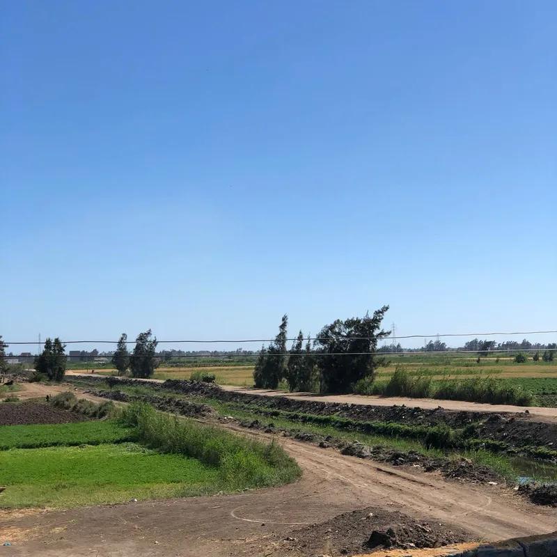 أرض سكنية للبيع في بلطيم