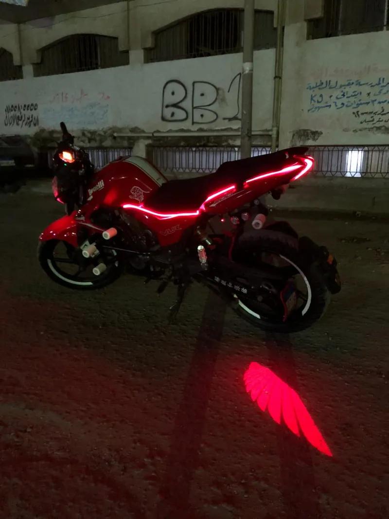 بينيلي فى ال ار 2024