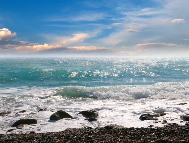 شقه للايجار في اسكندريه