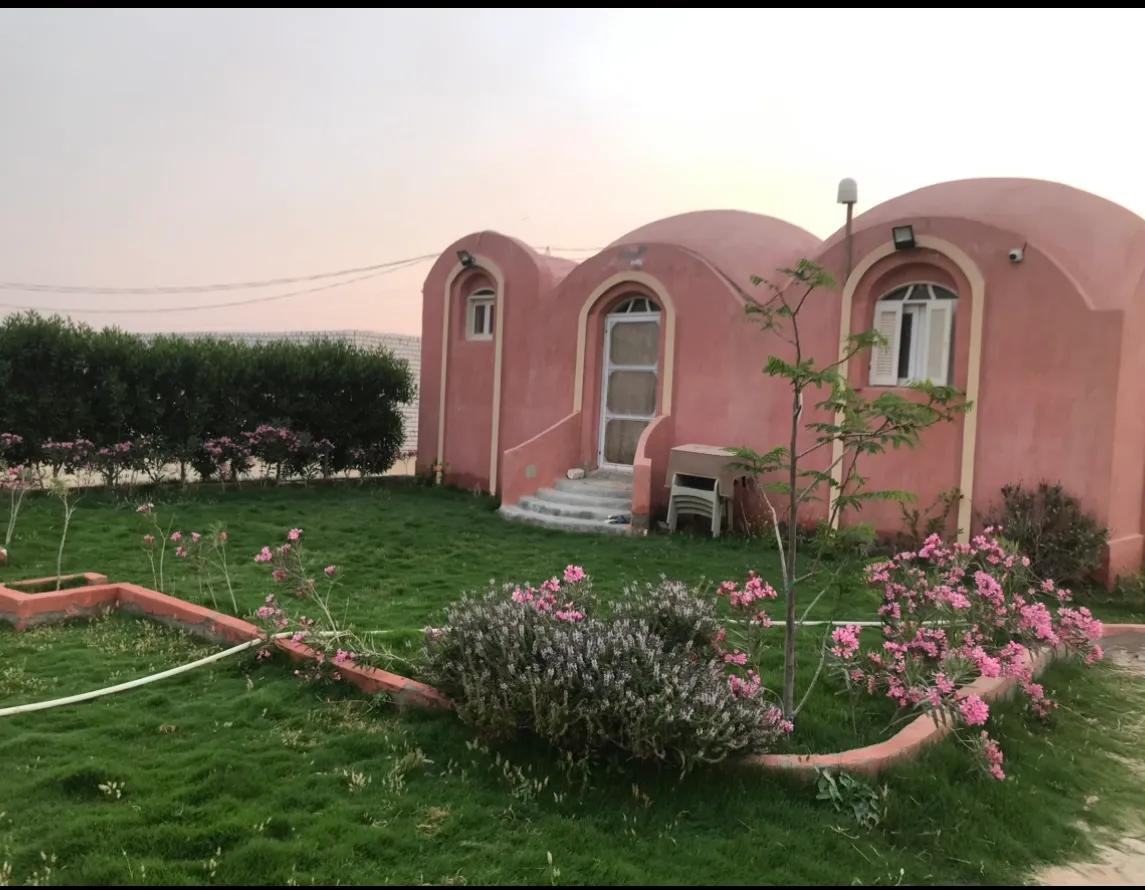 مزرعه البيع انتاج حيوانى