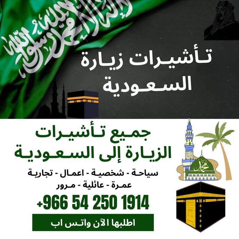 اصدار وتلخيص فيزا زيارات وتأشيرات من وزاره الخارجيه السعودية في المقطم, القاهرة - 100 EGP