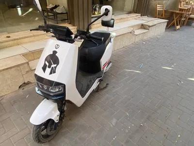 هامستر ٢٠٠٠ في طوخ, القليوبية - 33,000 جنيه