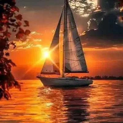 اراضي للتطوير العقاري في مناطق اخرى في الإسكندرية, الإسكندرية - 10,000,000 جنيه