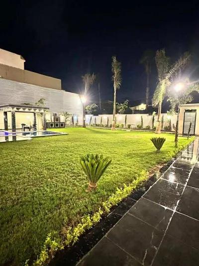 king royal في برج العرب, الإسكندرية - 19,000,000 جنيه