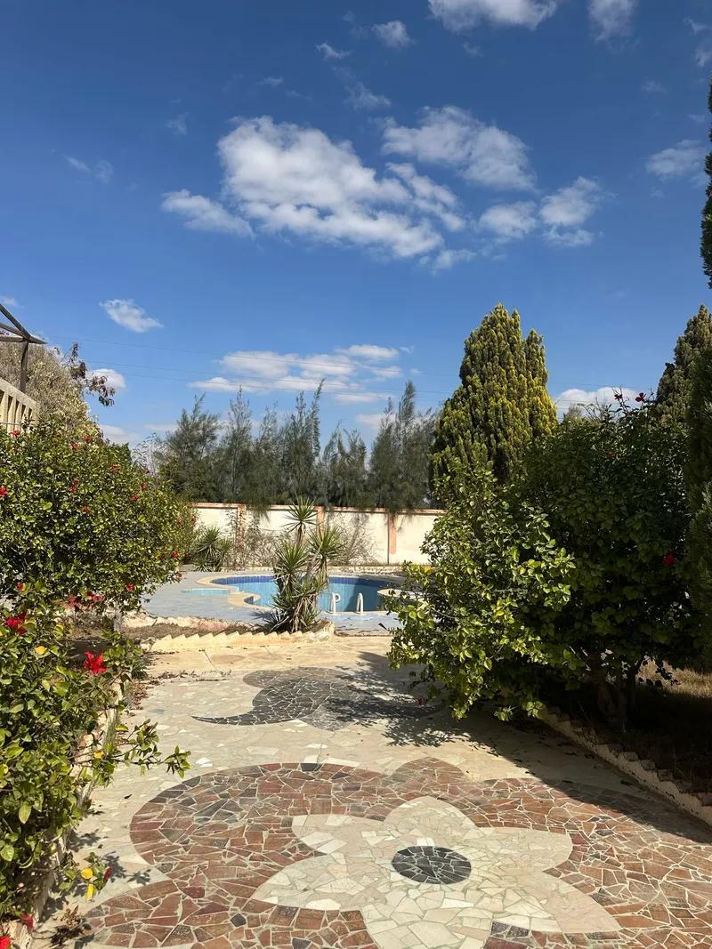 أرض سكنية للبيع في وادي النطرون