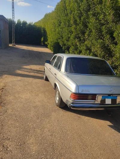 مرسيدس بنز الفئه e 1981