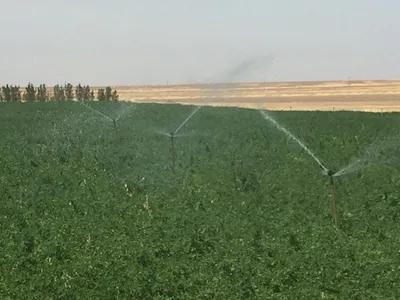 للبيع اراضي زراعيةغرب المنيا 5فدان بجوار كمين العدوه مدينة في العدوة, المنيا - 700,000 جنيه