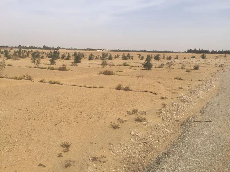 أرض سكنية للبيع في مدينة أكتوبر الجديدة
